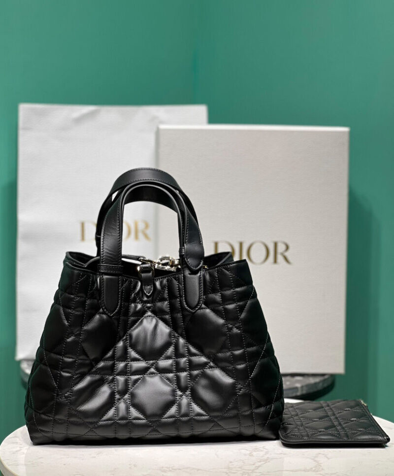 Christian Dior Medium Dior Toujours Bag